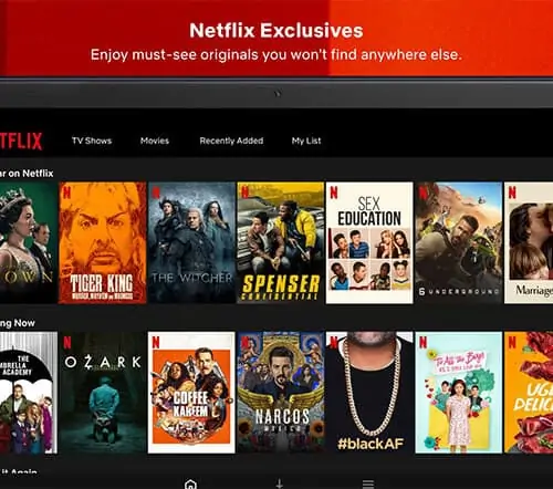 Free Netflix Download Premium Crack - vstpromax.com